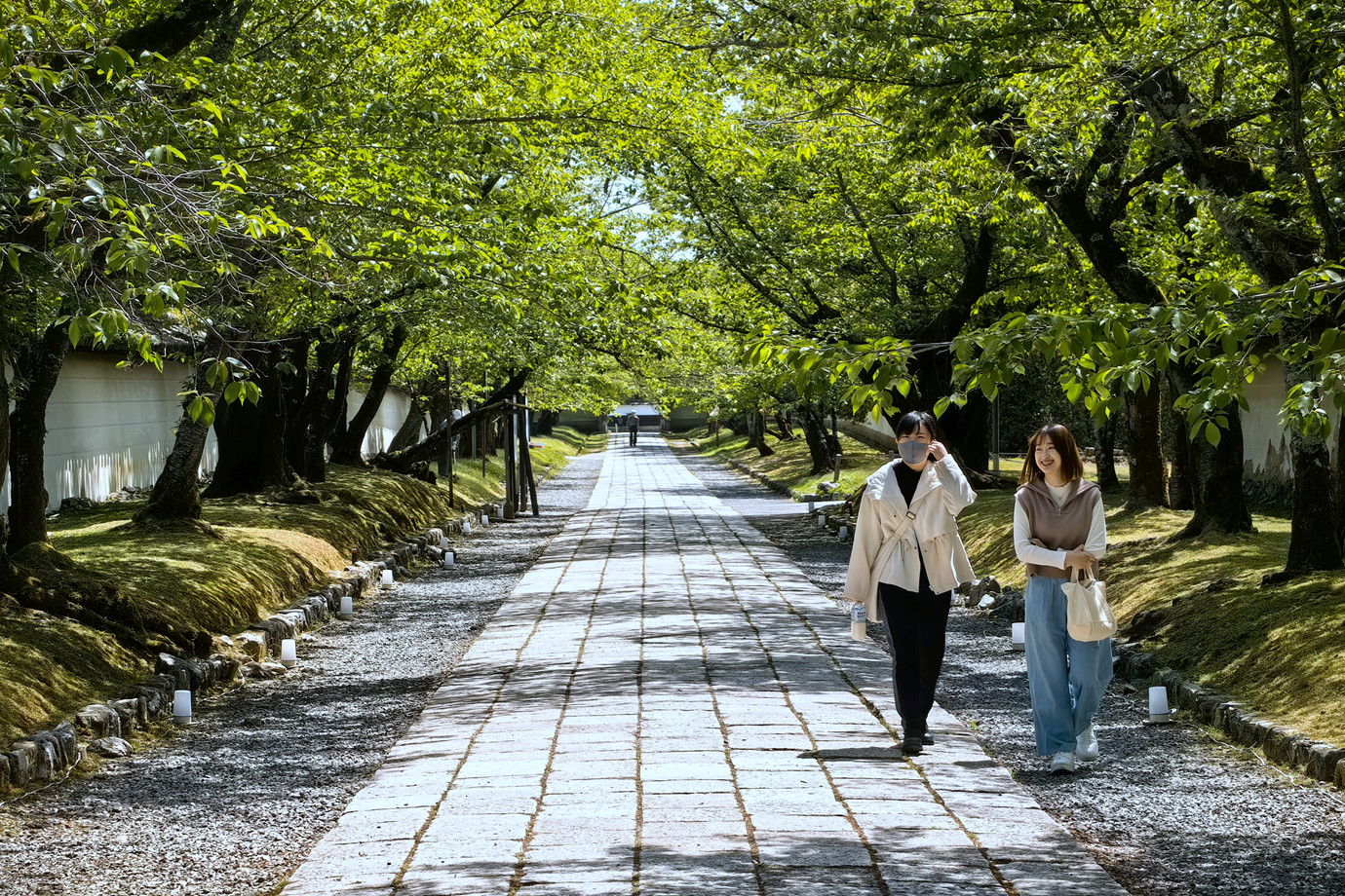 京都-上醍醐寺三寶庭院
